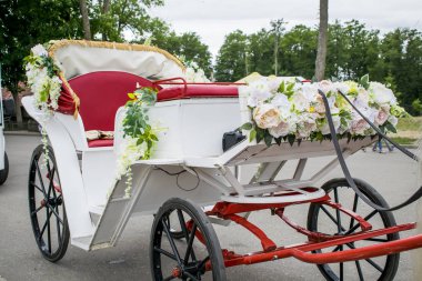 Eski bir vagonda bir arabacı ve atları ile 30 Haziran 2018, Nesvizh şehir, Belarus Nesvizh kale düğün