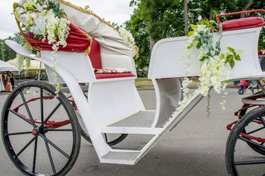 Eski bir vagonda bir arabacı ve atları ile 30 Haziran 2018, Nesvizh şehir, Belarus Nesvizh kale düğün