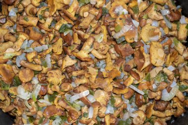 mantar Cantharellus cibarius sebze doku ile kızarmış