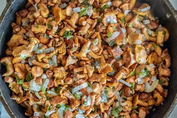 Cogumelos chanterelle frito com textura de legumes — Fotografia de Stock
