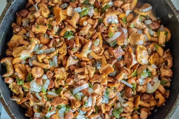 mantar Cantharellus cibarius sebze doku ile kızarmış