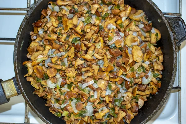 mantar Cantharellus cibarius sebze doku ile kızarmış
