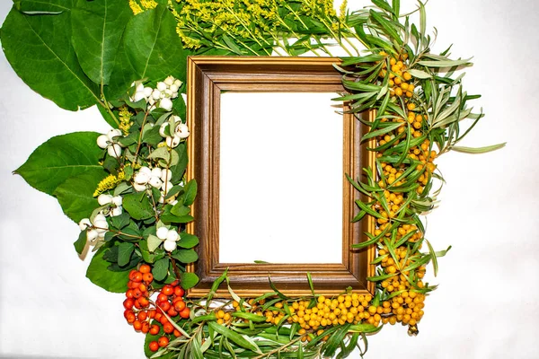 a frame for graffiti and photographs decorated with nature, the oak acorns flowers