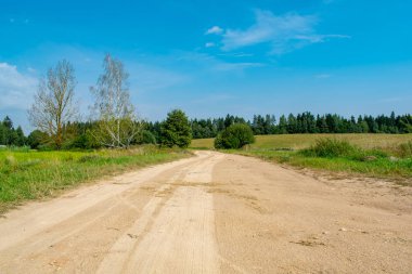 manzara çayır orman alanı kırsal mestnosti