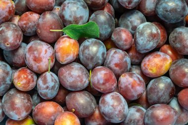 Arka plan doku olarak taze Olgun kırmızı erik