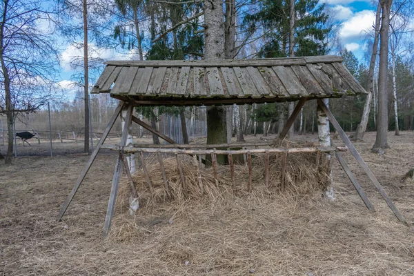 Wooden feeder for forest animals, deer, elk — Stock Photo, Image