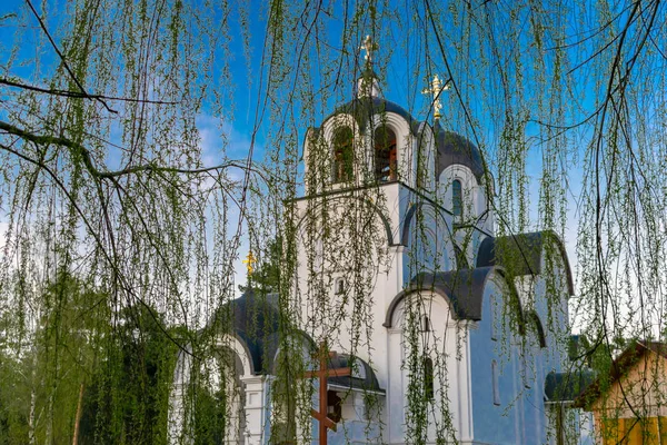 Christelijke kerk tegen blauwe lucht en wilgentakken — Stockfoto