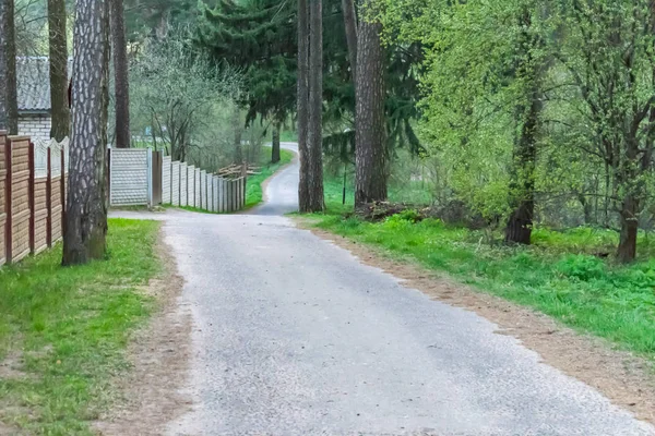 ormana peyzaj orman yolu bahar yolu