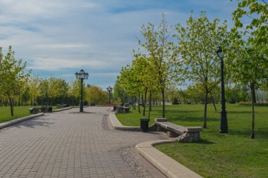 mavi gökyüzüne karşı bahar parkı manzara parça