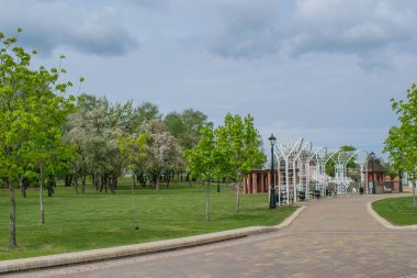 mavi gökyüzüne karşı bahar parkı manzara parça