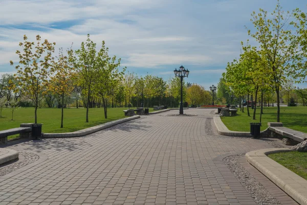 mavi gökyüzüne karşı bahar parkı manzara parça