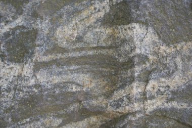 Arka plan beton duvar için gri çimento yüzeyi