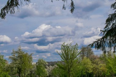 mavi bir gökyüzüne karşı bahar manzara nehir orman ağaçları