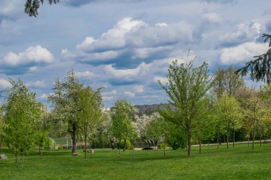 mavi bir gökyüzüne karşı bahar manzara nehir orman ağaçları