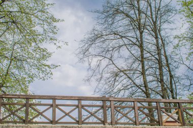 mavi gökyüzüne karşı bahar parkı manzara parça