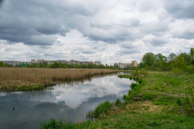 mavi bir gökyüzüne karşı bahar manzara nehir orman ağaçları