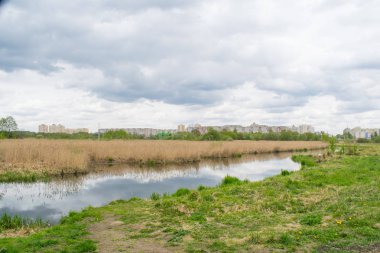 mavi bir gökyüzüne karşı bahar manzara nehir orman ağaçları