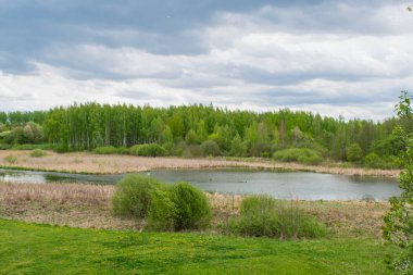 mavi bir gökyüzüne karşı bahar manzara nehir orman ağaçları