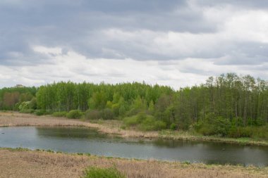 mavi bir gökyüzüne karşı bahar manzara nehir orman ağaçları