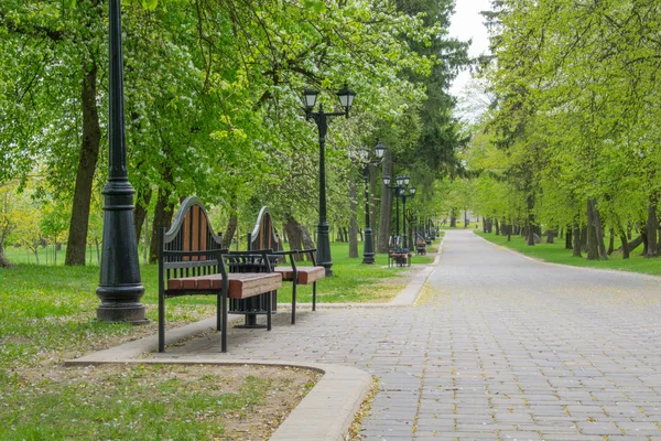 Trilhas na paisagem do parque de primavera contra o céu azul — Fotografia de Stock