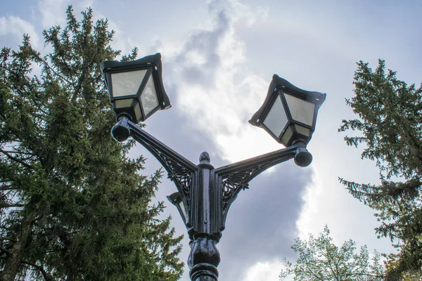 Lamp op het gazon in de tuin met struiken en gazons. — Stockfoto