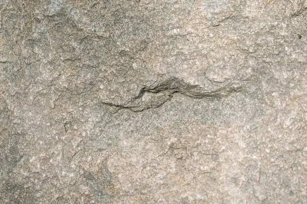 Сіра цементна поверхня для фону Бетонна стіна — стокове фото