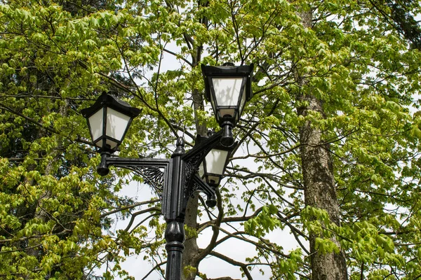 Lamp on the lawn In the garden with shrubs and lawns. — Stock Photo, Image