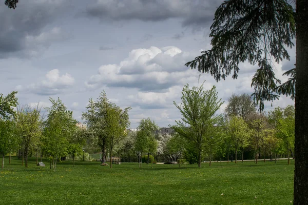 Primavera paisagem rio floresta árvores contra um céu azul — Fotografia de Stock