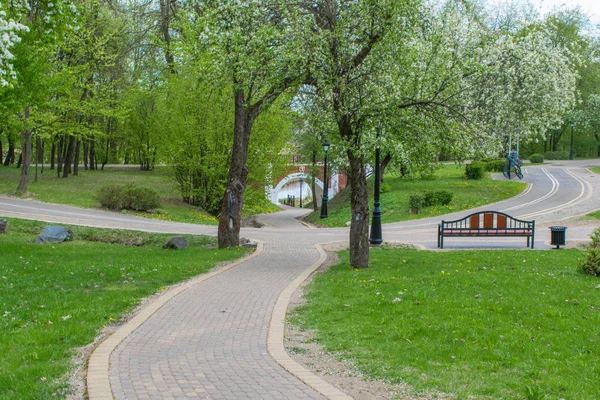 Spuren in frühlingshafter Parklandschaft vor blauem Himmel — Stockfoto