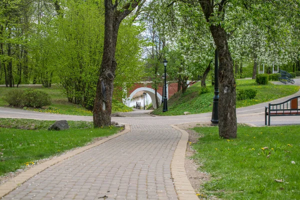 Trilhas na paisagem do parque de primavera contra o céu azul — Fotografia de Stock