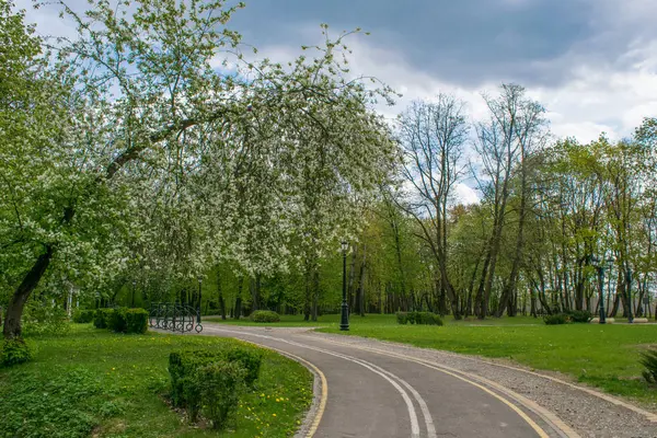 Trilhas na paisagem do parque de primavera contra o céu azul — Fotografia de Stock