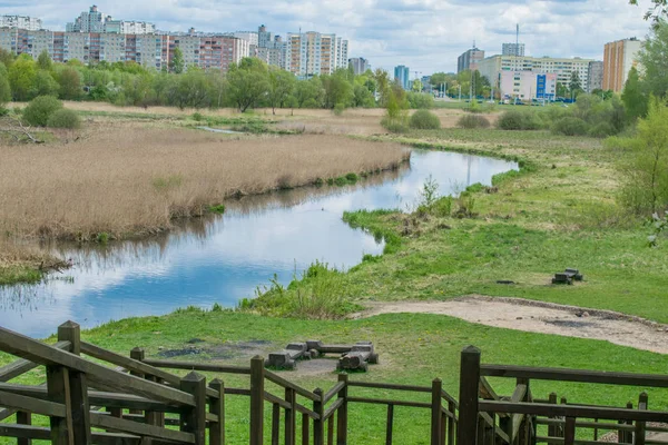 mavi bir gökyüzüne karşı bahar manzara nehir orman ağaçları