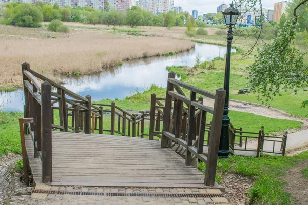 mavi bir gökyüzüne karşı bahar manzara nehir orman ağaçları