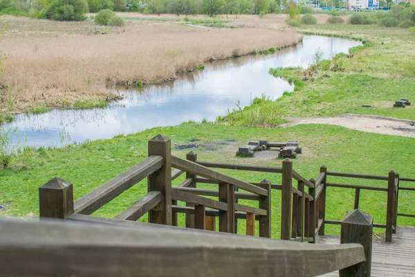 mavi bir gökyüzüne karşı bahar manzara nehir orman ağaçları