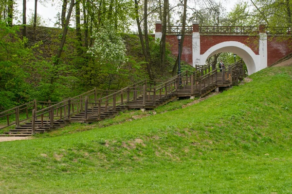 mavi bir gökyüzüne karşı bahar manzara nehir orman ağaçları