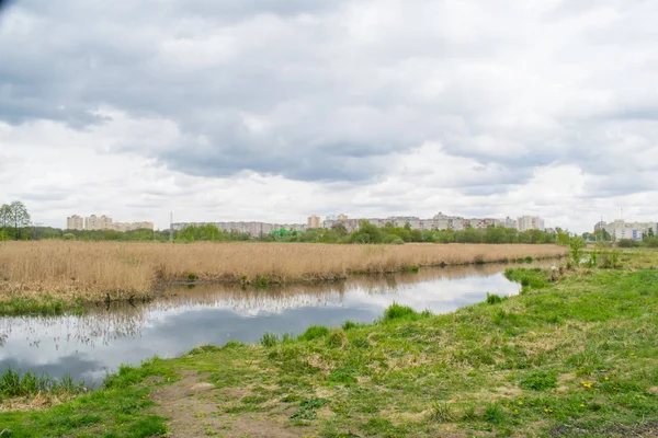 mavi bir gökyüzüne karşı bahar manzara nehir orman ağaçları
