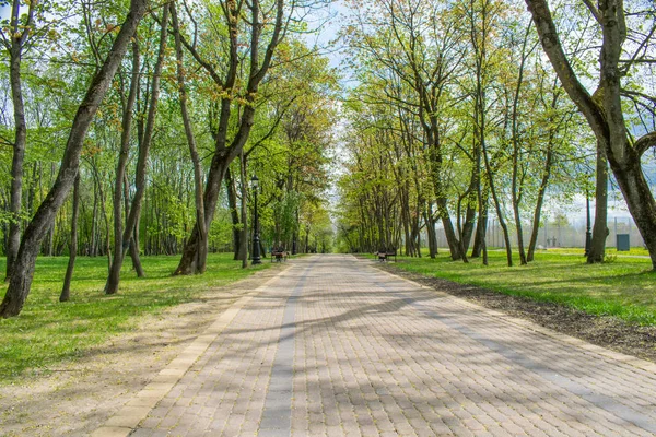 Trilhas na paisagem do parque de primavera contra o céu azul — Fotografia de Stock