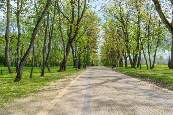 Trilhas na paisagem do parque de primavera contra o céu azul — Fotografia de Stock