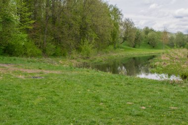 mavi bir gökyüzüne karşı bahar manzara nehir orman ağaçları