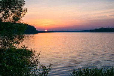 Ormanda bir yaz gölet gündoğumu günbatımı