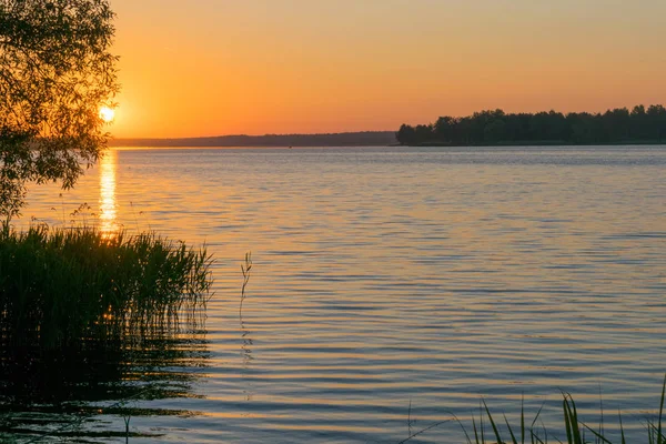 Slunce zapadne na letní rybník v lese — Stock fotografie