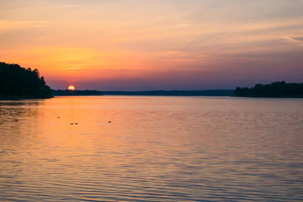 Napfelkeltét a nyári tó az erdőben — Stock Fotó