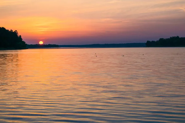 Napfelkeltét a nyári tó az erdőben — Stock Fotó