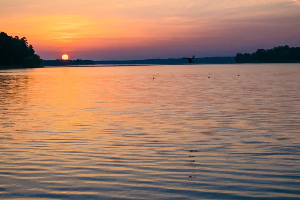 Napfelkeltét a nyári tó az erdőben — Stock Fotó