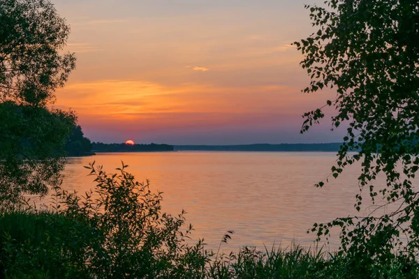 Pôr do sol nasce em uma lagoa de verão na floresta Fotos De Bancos De Imagens
