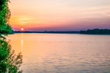 Ormanlık bir alanda bir yaz gölet gündoğumu günbatımı