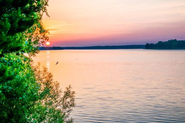 Ormanlık bir alanda bir yaz gölet gündoğumu günbatımı
