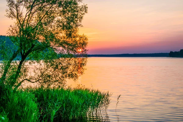 Slunce zapadne na letní rybník v zalesněné oblasti — Stock fotografie