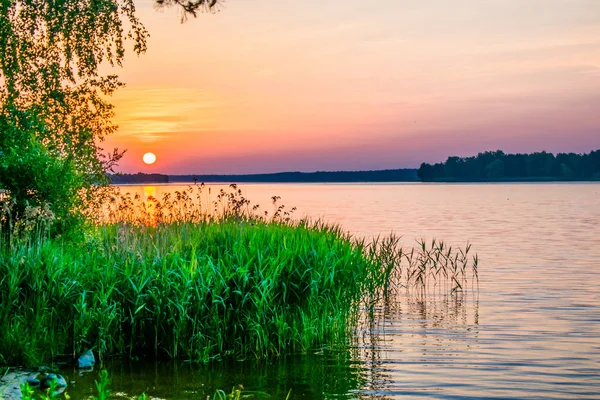 Slunce zapadne na letní rybník v zalesněné oblasti — Stock fotografie