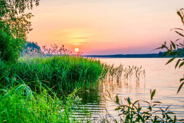 Pôr do sol nasce em uma lagoa de verão em uma área arborizada — Fotografia de Stock